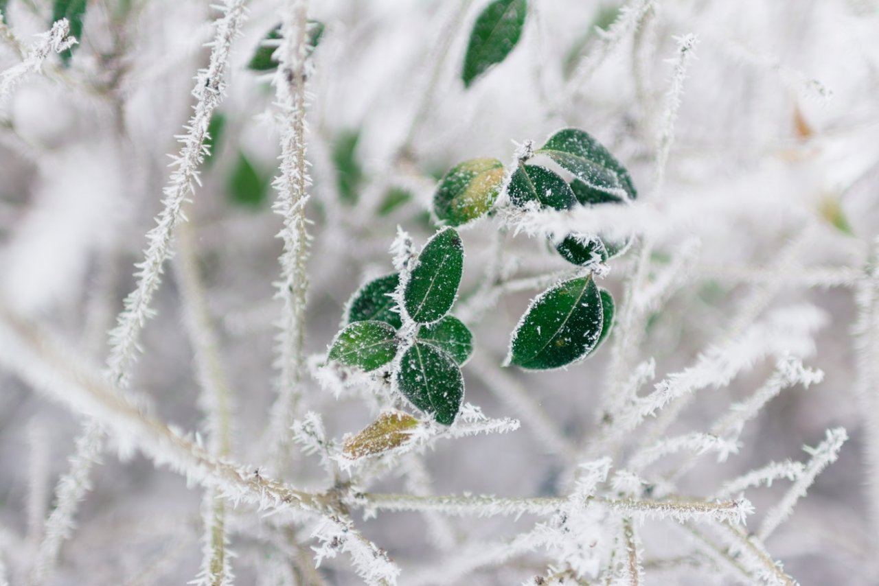 Несмотря на приход весны, в Сыктывкар вернутся 30-градусные морозы