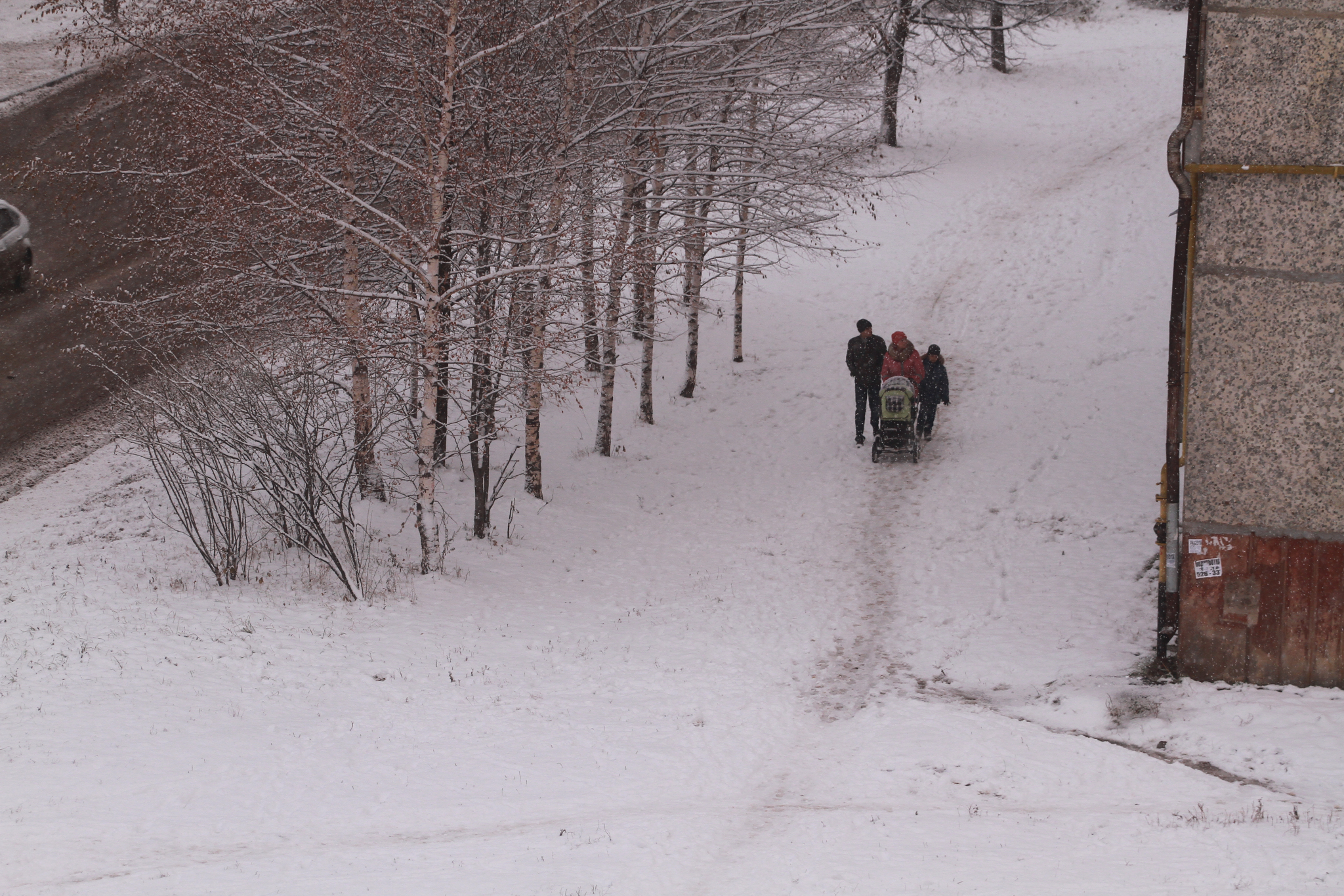 Погода в Сыктывкаре 3 марта: мир за окном не спешит меняться