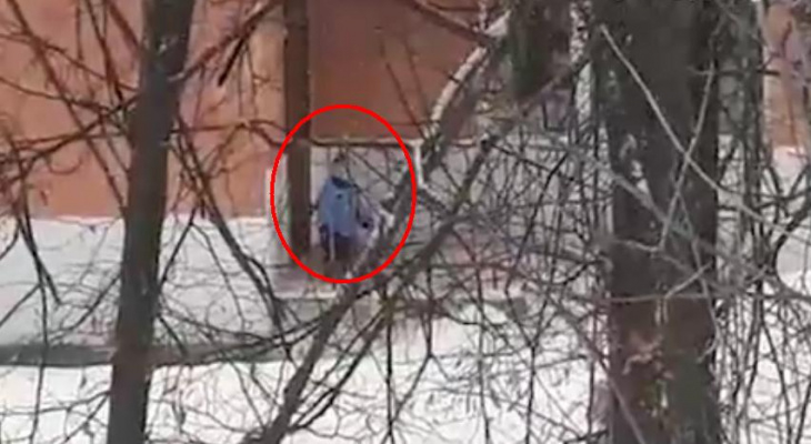 Новости России: сотрудники ГИБДД убили пешехода, а воспитатели детсада оставили ребенка замерзать на улице