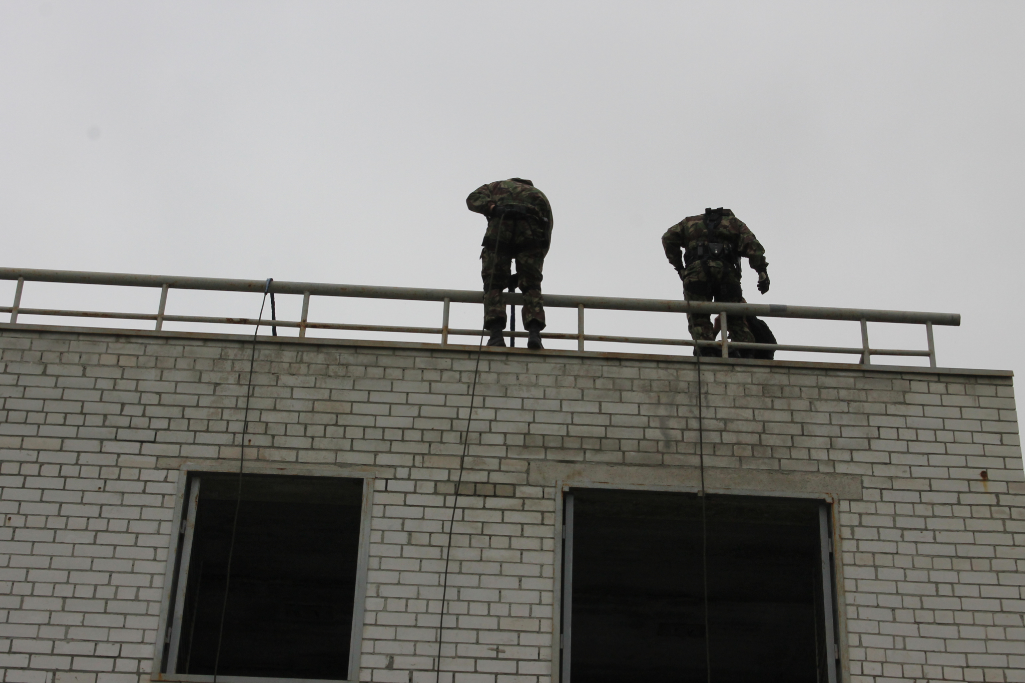 В Сыктывкаре спасатели и полиция уговаривали человека не прыгать с крыши