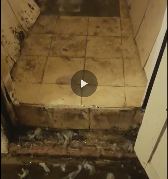 «В этом дерьме мы жили две недели»: квартиру сыктывкарки топило водой из канализации (видео)