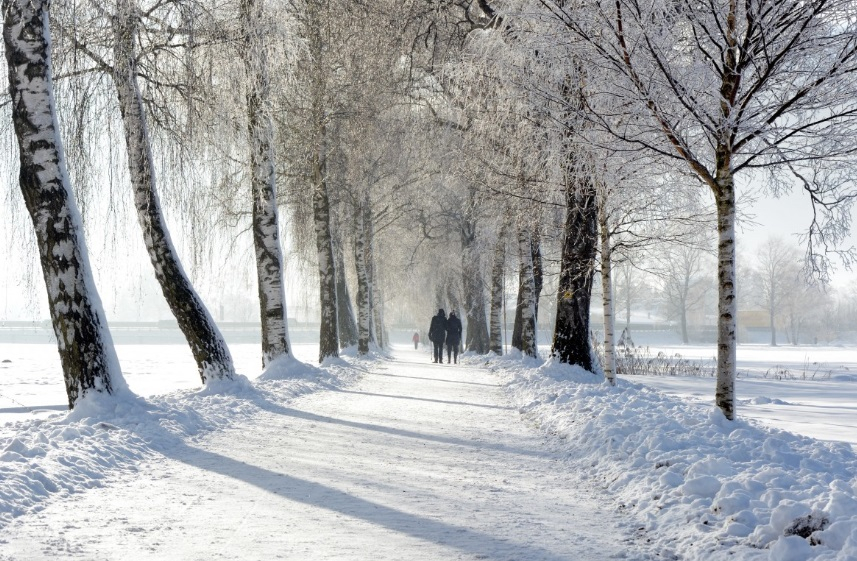 Погода в Сыктывкаре на 23 апреля: зима возвращается