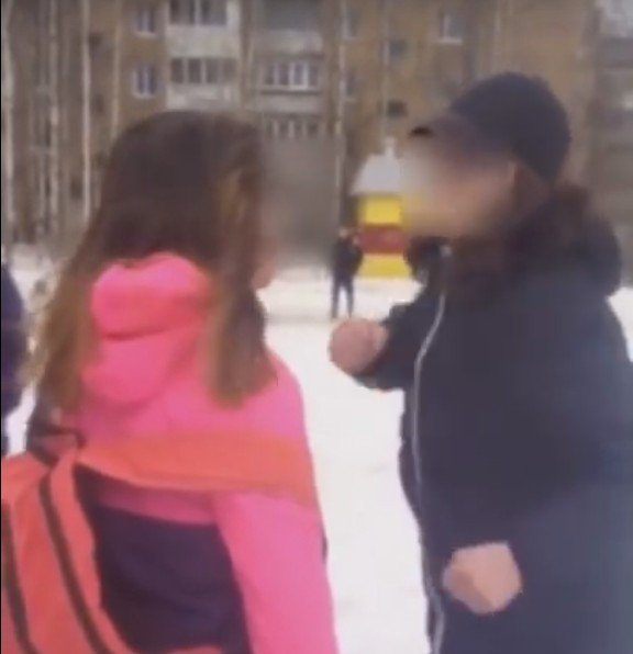 Следователи начали проверку жестокой драки школьниц в Сыктывкаре
