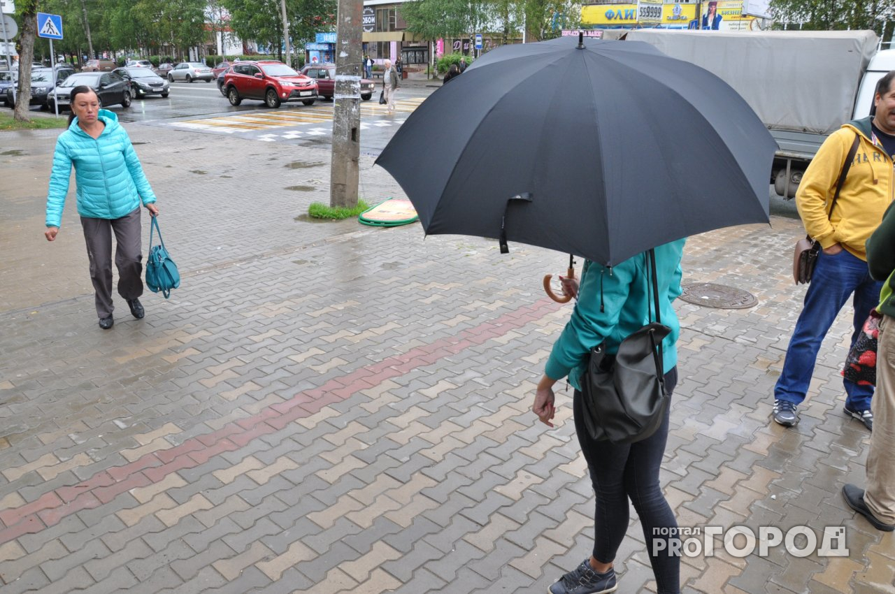 Погода в Сыктывкаре 15 мая: утром ожидается дождь