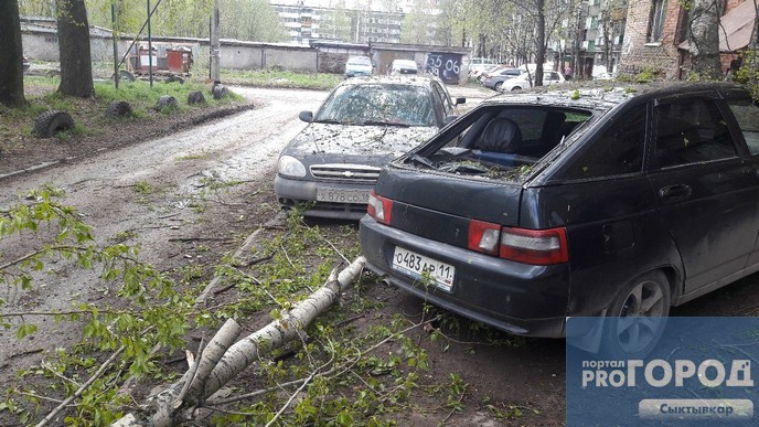 В Сыктывкаре во время грозы тополь упал и разбил два автомобиля (фото)