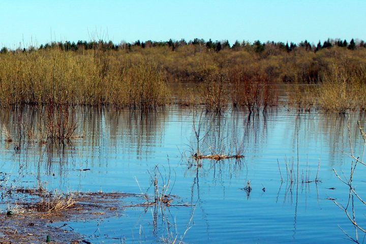 За полтора месяца на реках и озерах Коми утонуло более десяти человек