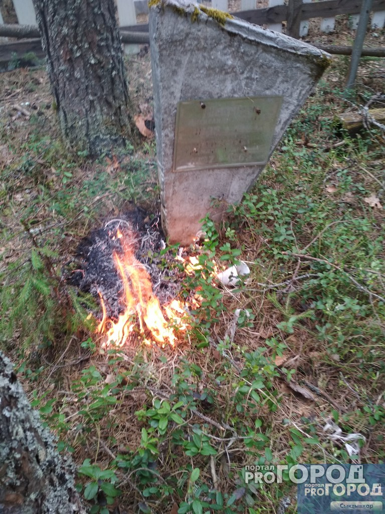 Сыктывкарец утверждает, что потушил пожар на кладбище «с помощью Бога» (фото)