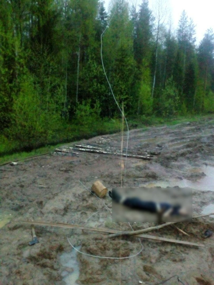 В Коми мужчина попытался зарядить телефон от линии электропередач и умер (фото)