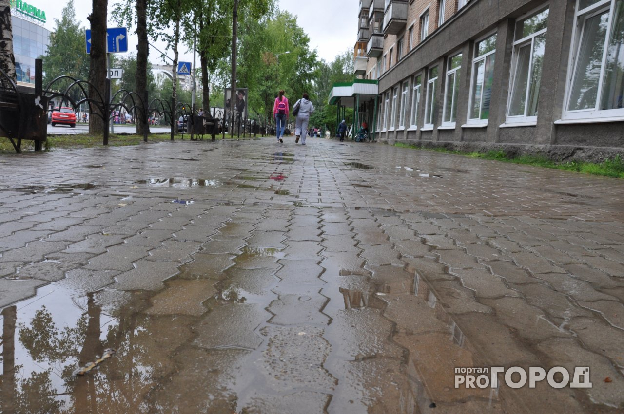 Погода в Сыктывкаре на 3 июня: пройдет небольшой дождь
