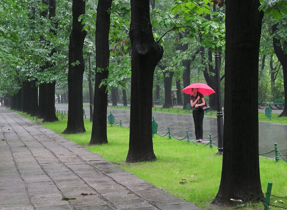 Погода в Сыктывкаре 13 июня: берите зонт и не грустите