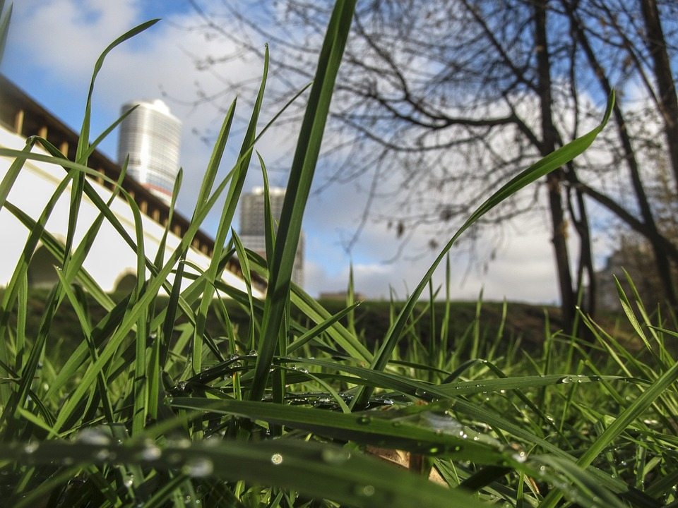 Эксперты по климату: на севере Коми вырастет трава, а зимы станут теплее