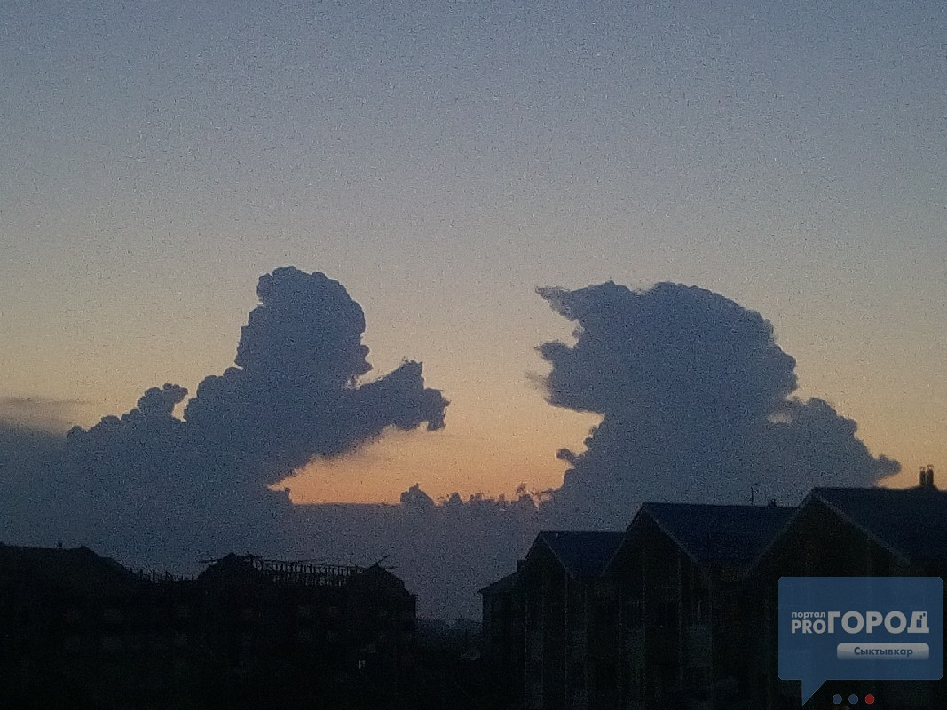 В небе над Сыктывкаром появились необычные облака, похожие на странных существ (фото, видео)