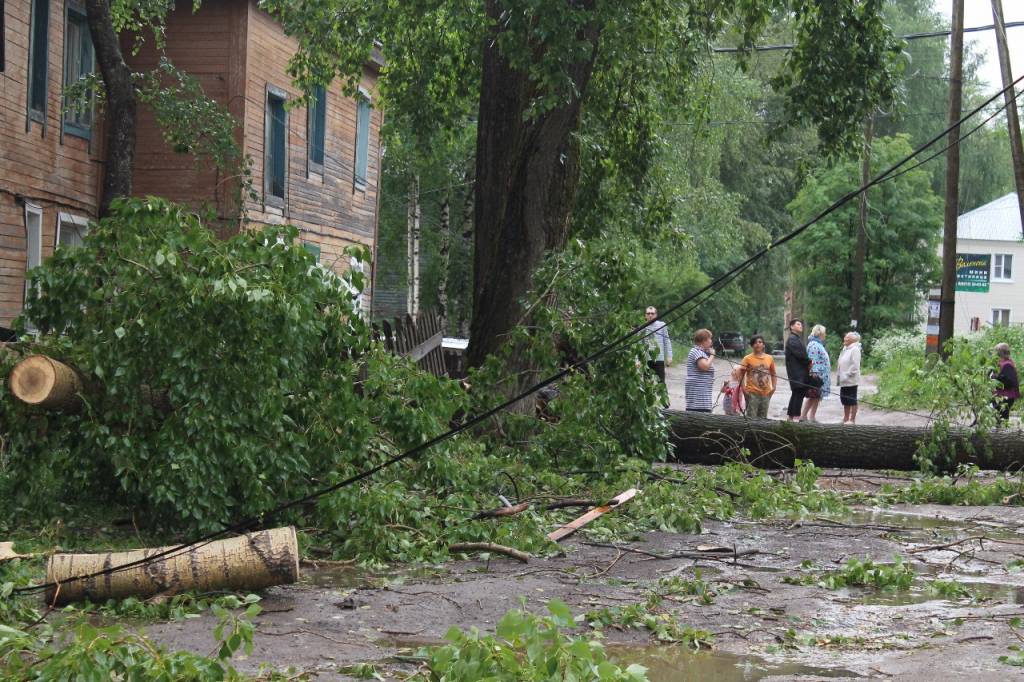 Итоги стихии: 5 разрушительных последствий урагана в Сыктывкаре