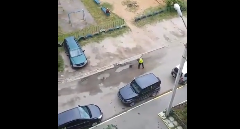 Сыктывкарский дворник самостоятельно «чинит» дороги с помощью грязи (видео)