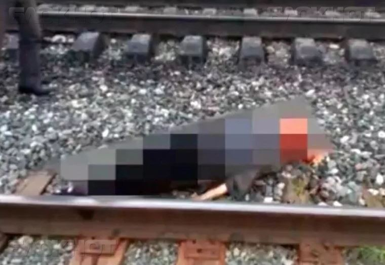 В Краснодаре поезд насмерть сбил молодую мать из Коми