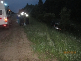 В Коми водитель «Рено» сбил лося и попал в реанимацию (фото)