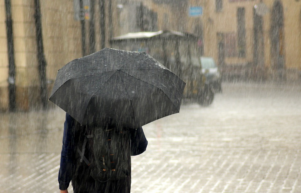 Погода в Сыктывкаре 13 июля:  встречаем выходные под дождем