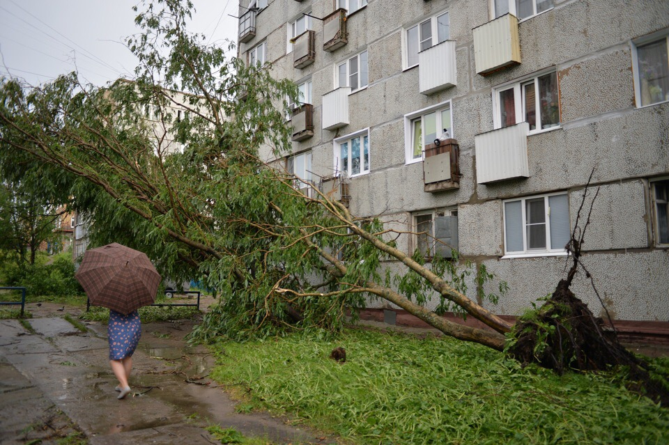 В одном из городов Коми из-за урагана ввели режим ЧС