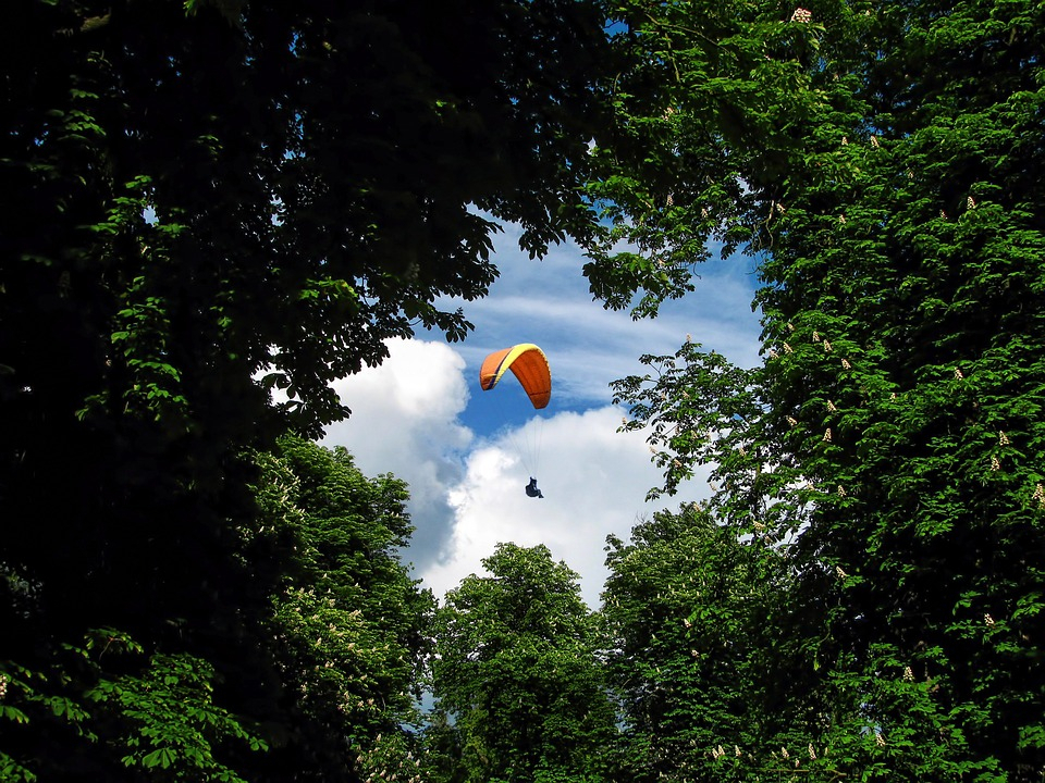 День парашютиста: как записаться на прыжок в Сыктывкаре, сколько это стоит и каких ощущений ждать