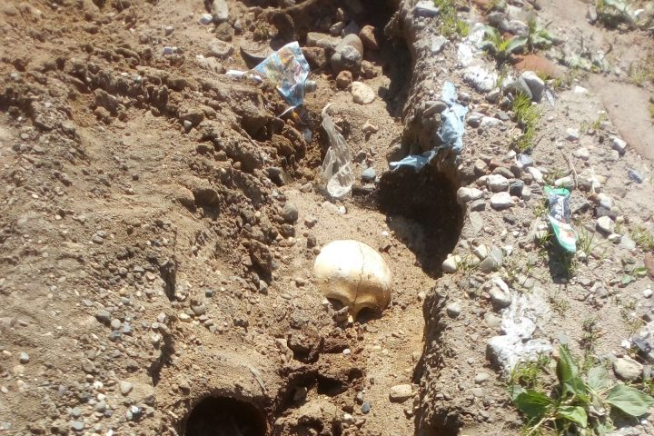 На дороге под Сыктывкаром после дождя показались человеческие останки (фото)