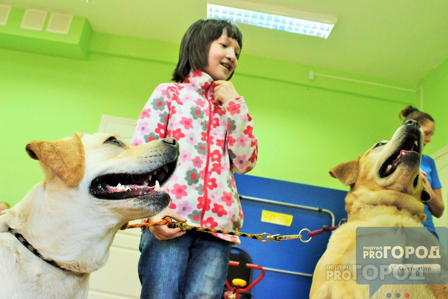 В Сыктывкаре волонтеры хотят помочь мужчине с 8 собаками, которого выгоняют из дома