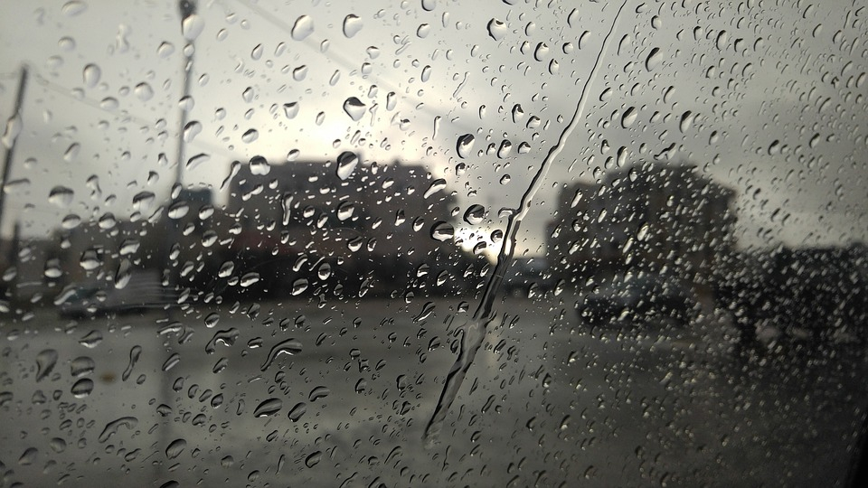 Погода в Сыктывкаре 22 августа: температура упадет, а после полудня пойдет дождь