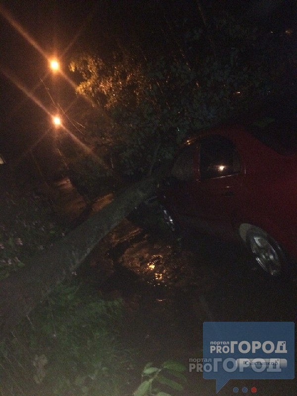 «Оно могло упасть на детей»: в Сыктывкаре на авто рухнуло дерево