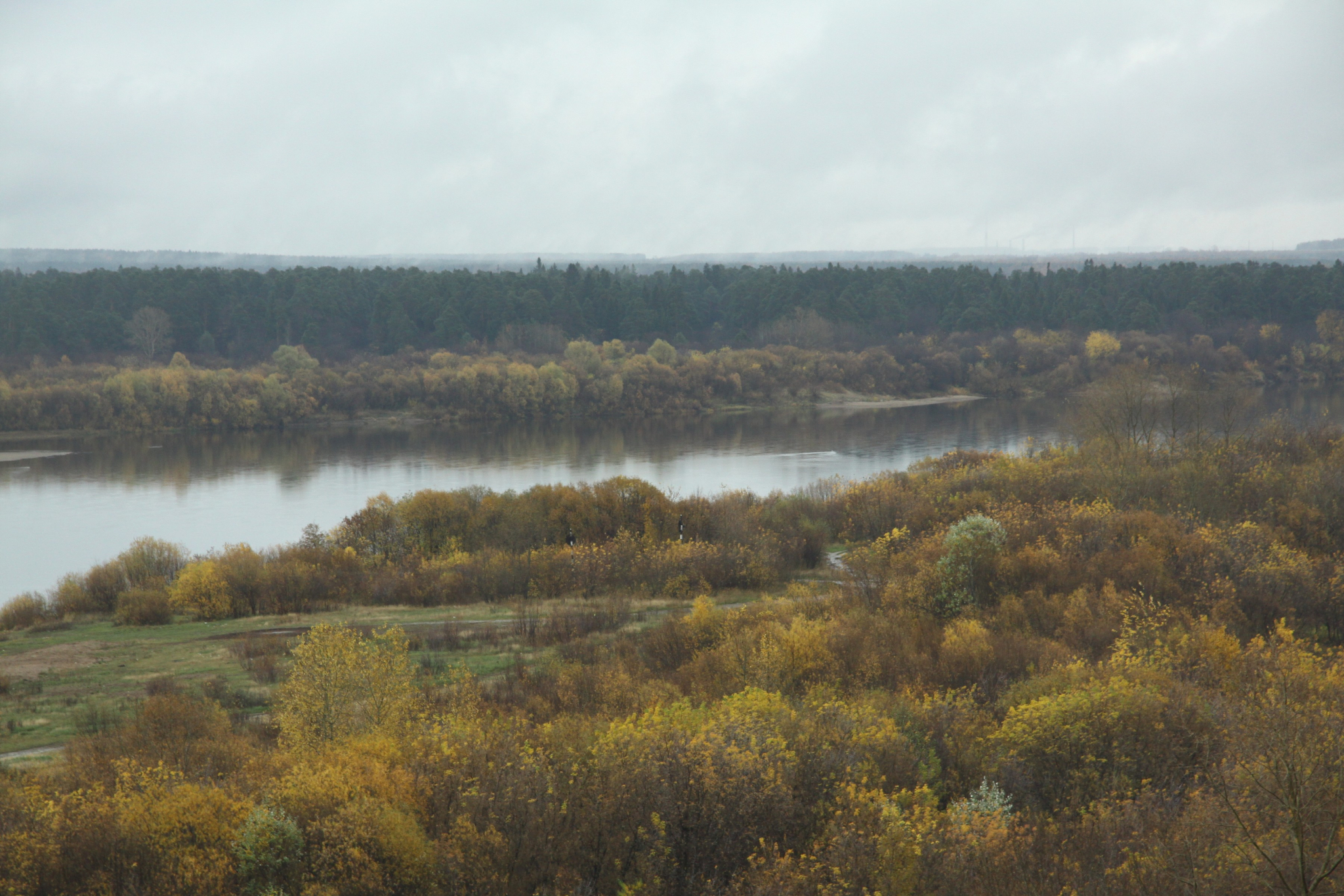 В Коми нашли останки мужчины, который пропал год назад