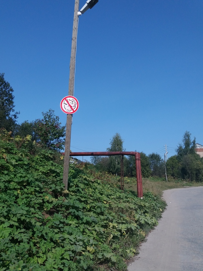 В Сыктывкаре обнаружили дорожный знак, запрещающий проезд свиньям (фото)