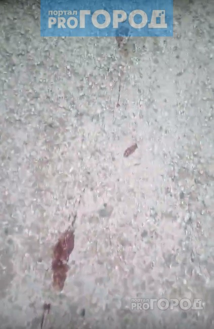 В Сыктывкаре обнаружили кровавые человеческие следы (видео)