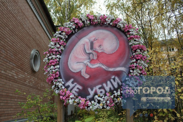 В Сыктывкаре установили щит с человеческим эмбрионом и цветами (фото)