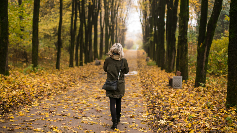 Погода в Сыктывкаре 3 октября: похоже, что дожди, наконец, прекратились