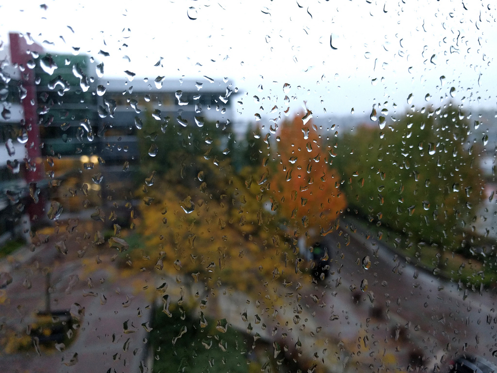 Погода в Сыктывкаре 8 октября: плюсовая температура и дождь