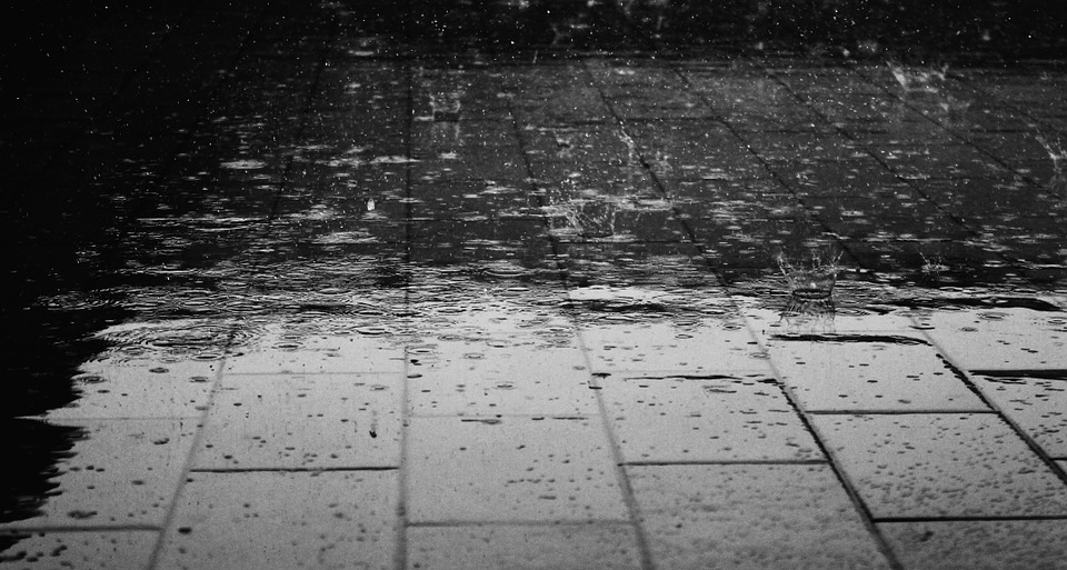 Жесткий ветер и сильные дожди: прогноз погоды в Сыктывкаре на рабочую неделю