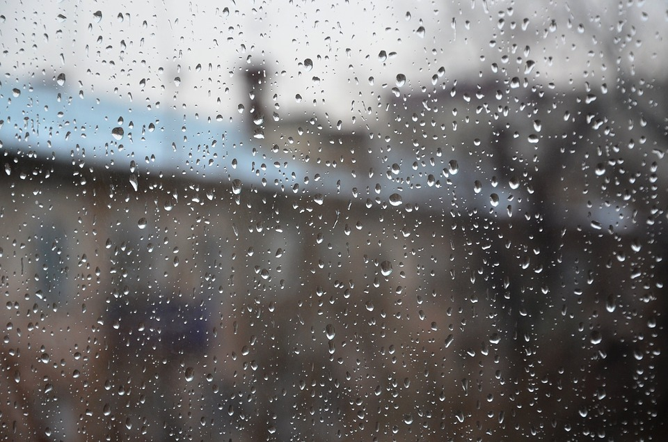 Погода в Сыктывкаре 11 октября: облачно и слабый дождь