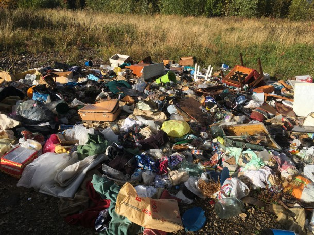 Прокуратура Коми заставит администрации районов убирать мусор