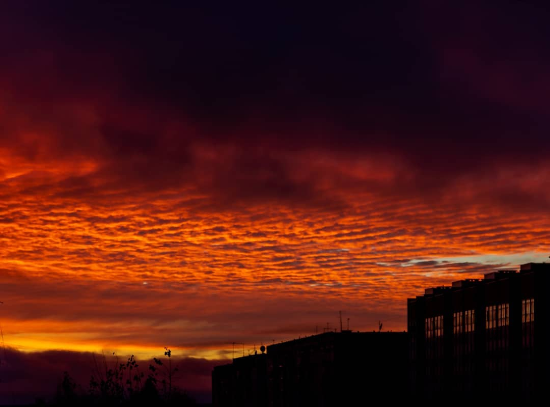 Фото дня: рассвет в сыктывкарской Орбите