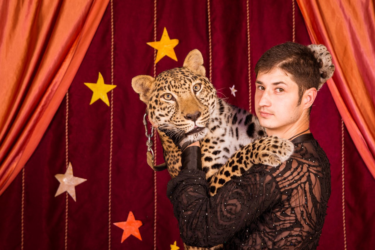 Леопарды, волки и парящие гимнасты: цирк-шапито покажет настоящее шоу в Сыктывкаре!