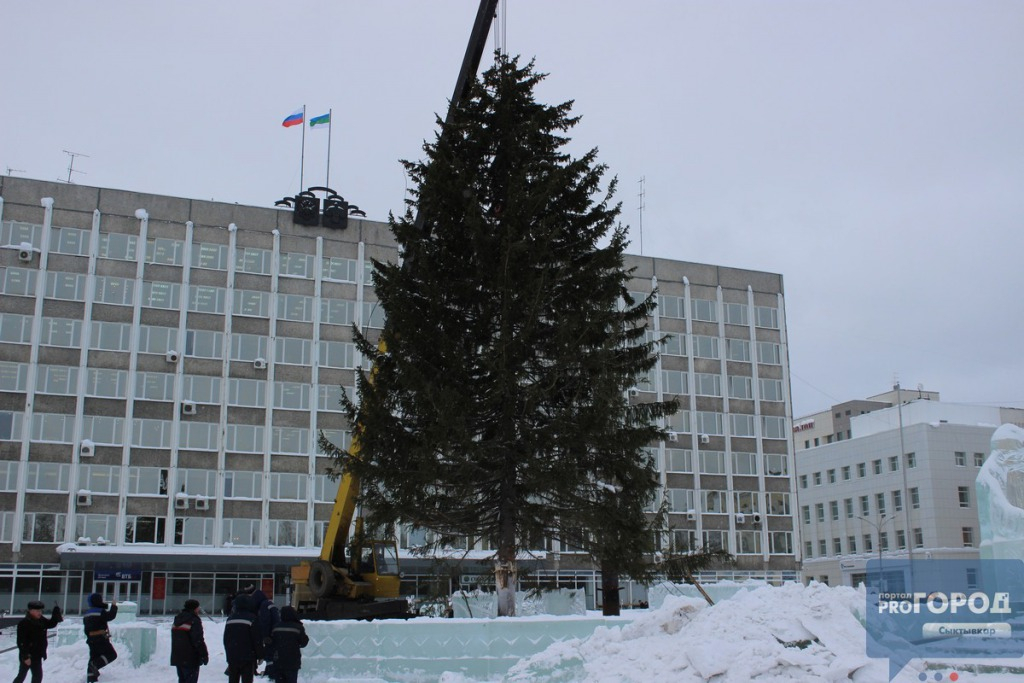 В Сыктывкаре отказались ставить искусственную елку на центральной площади