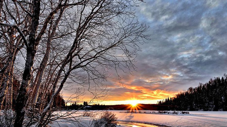 Погода в Сыктывкаре на 22 ноября: морозная свежесть и слабый снегопад
