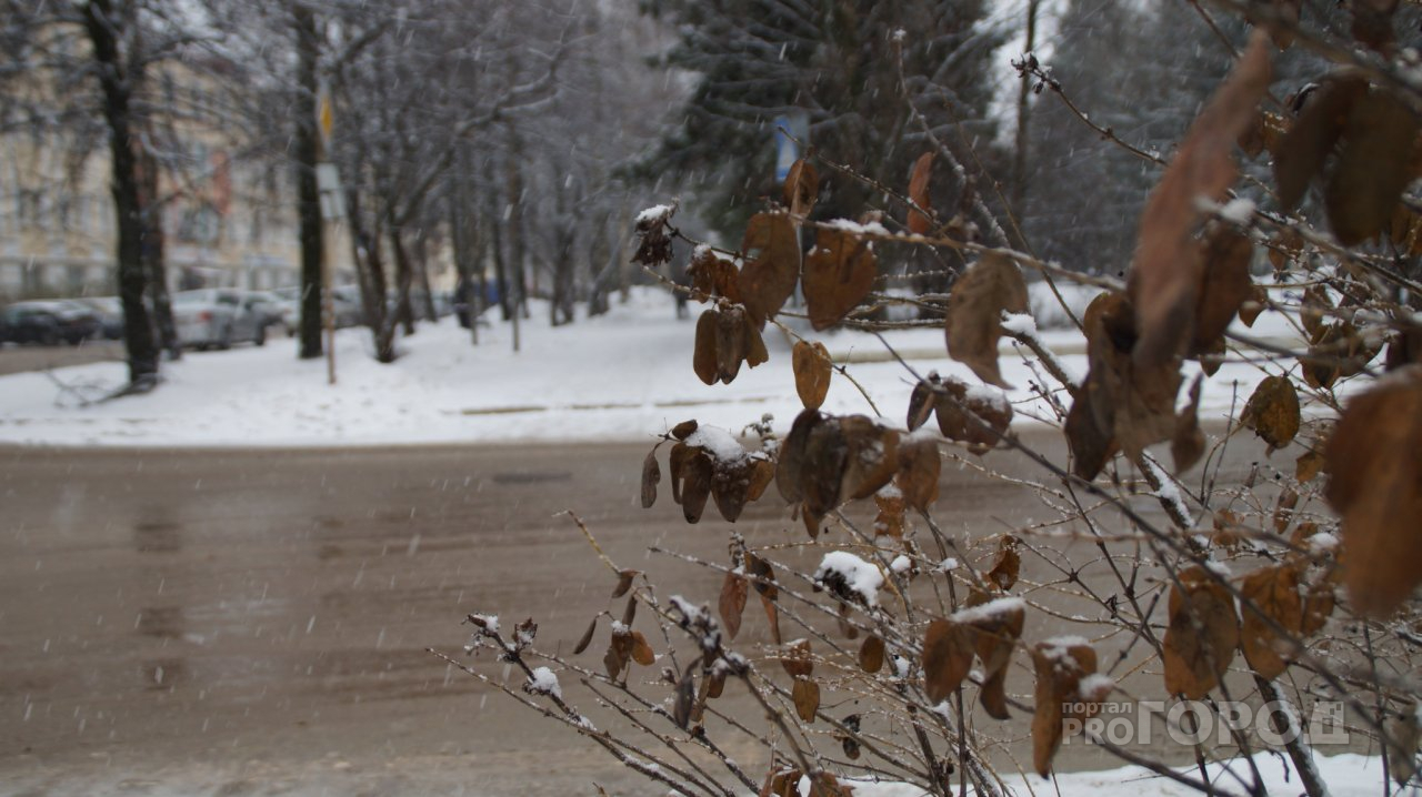 Мощные снегопады и жесткий ветер: синоптики дали прогноз на выходные в Сыктывкаре