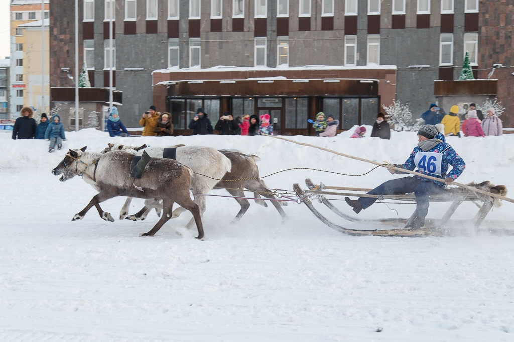 Город в Коми отпраздновал свой юбилей гонками на оленях (фото)