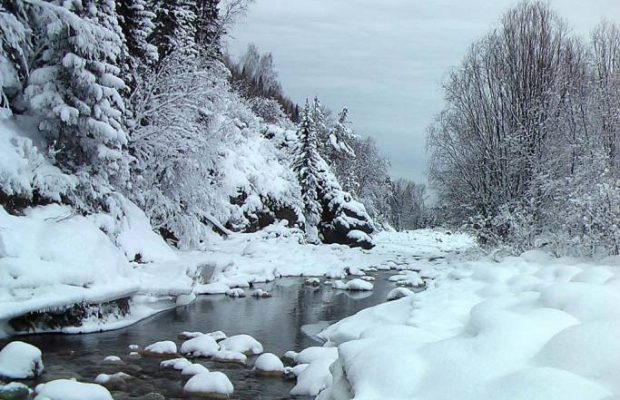 Погода в Сыктывкаре на 29 ноября: зимние морозы и солнечное небо