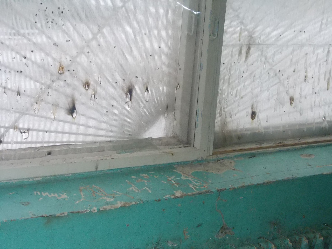 Отчаявшаяся сыктывкарка живет в «коммунальном аду» (фото)