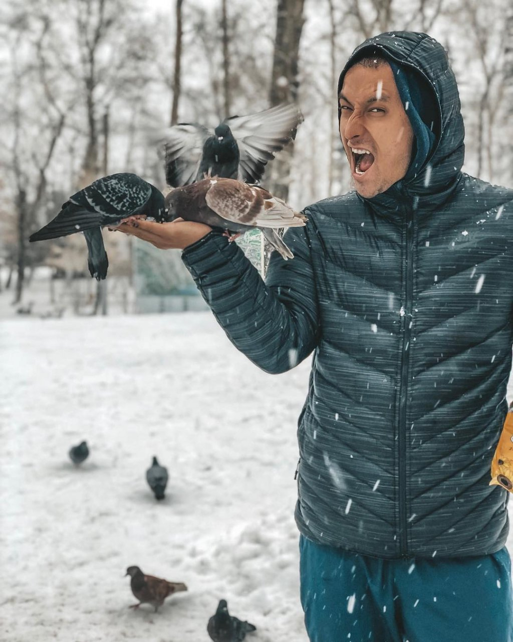 Фото дня: голодные голуби в Кировском парке Сыктывкара