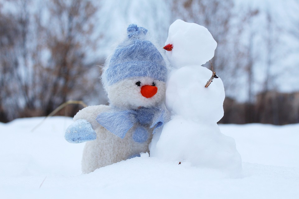Погода в Сыктывкаре на 16 декабря: время зимних забав и снеговиков