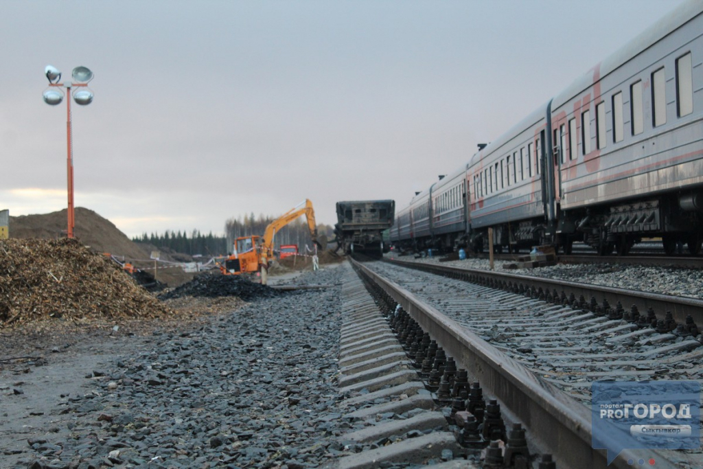 В Сети на помощь в борьбе со строительством свалки на границе с Коми собрали 200 тысяч рублей
