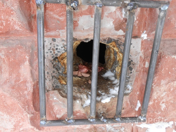Сыктывкарцы в панике: в подвале жилого дома замуровали кошек