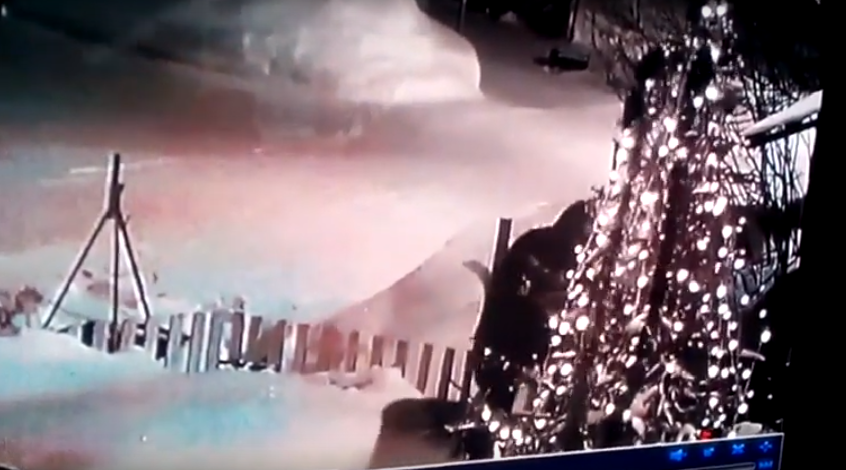 В Коми через два дня после Нового года неизвестный обокрал елку (видео)