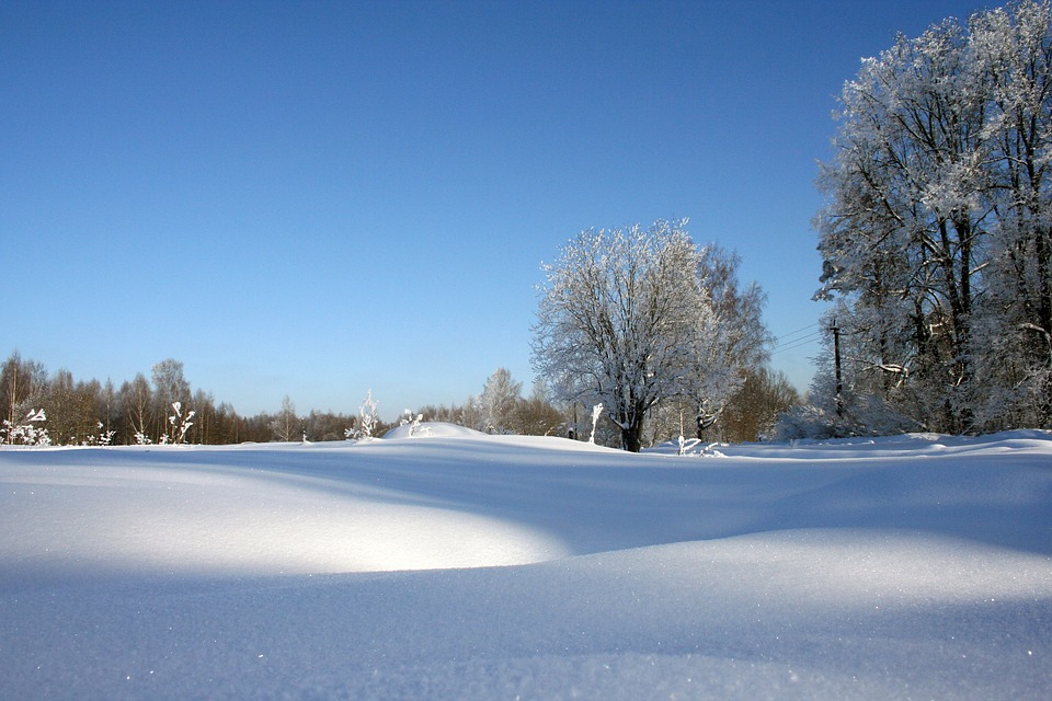 Погода в Сыктывкаре на 9 января: рабочая неделя начнется с приятной зимней прохлады